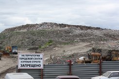 Что общего у чиновника и рязанской городской свалкой?