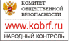 Комитет общественной безопасности